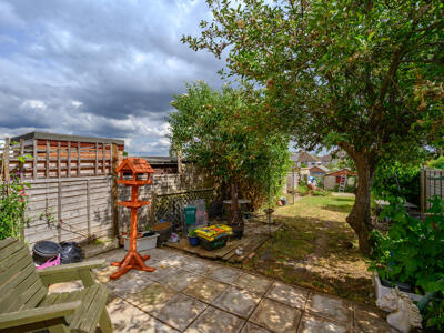 Picture 21